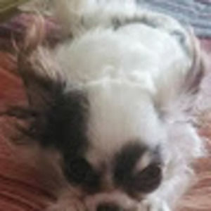 Meet your Posher, Deanna